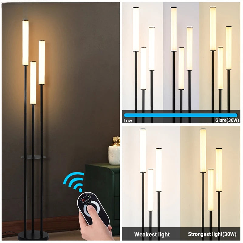 LED Shelf Floor Lamp